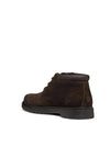 Herren-Polierstiefel - Geox Braun - U36D1B 00022 3