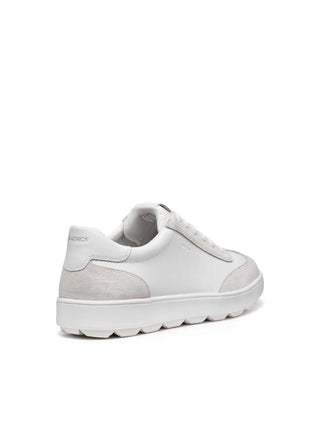 HERREN-SNEAKER - GEOX WEISS - U56GPC 09B22 4