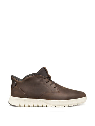 POLACCO HERREN - GEOX CAFFE - U56MAB 000FF 1