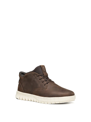 POLACCO HERREN - GEOX CAFFE - U56MAB 000FF 2