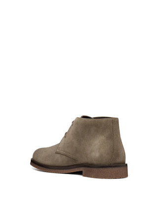 POLACCO UOMO - GEOX TORTORA - U6658D 00022 3