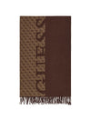 SCIARPA UOMO - GUESS MARRONE - AM9667 POL03 1