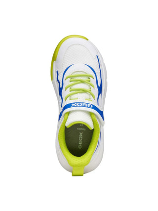 SNEAKERS RAGAZZO - GEOX BIANCO-BLU - J65P7F 01454 5