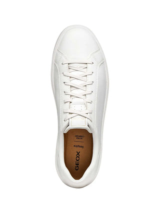 Herren-Sneaker - Geox Weiß - U653JB 0009B 5